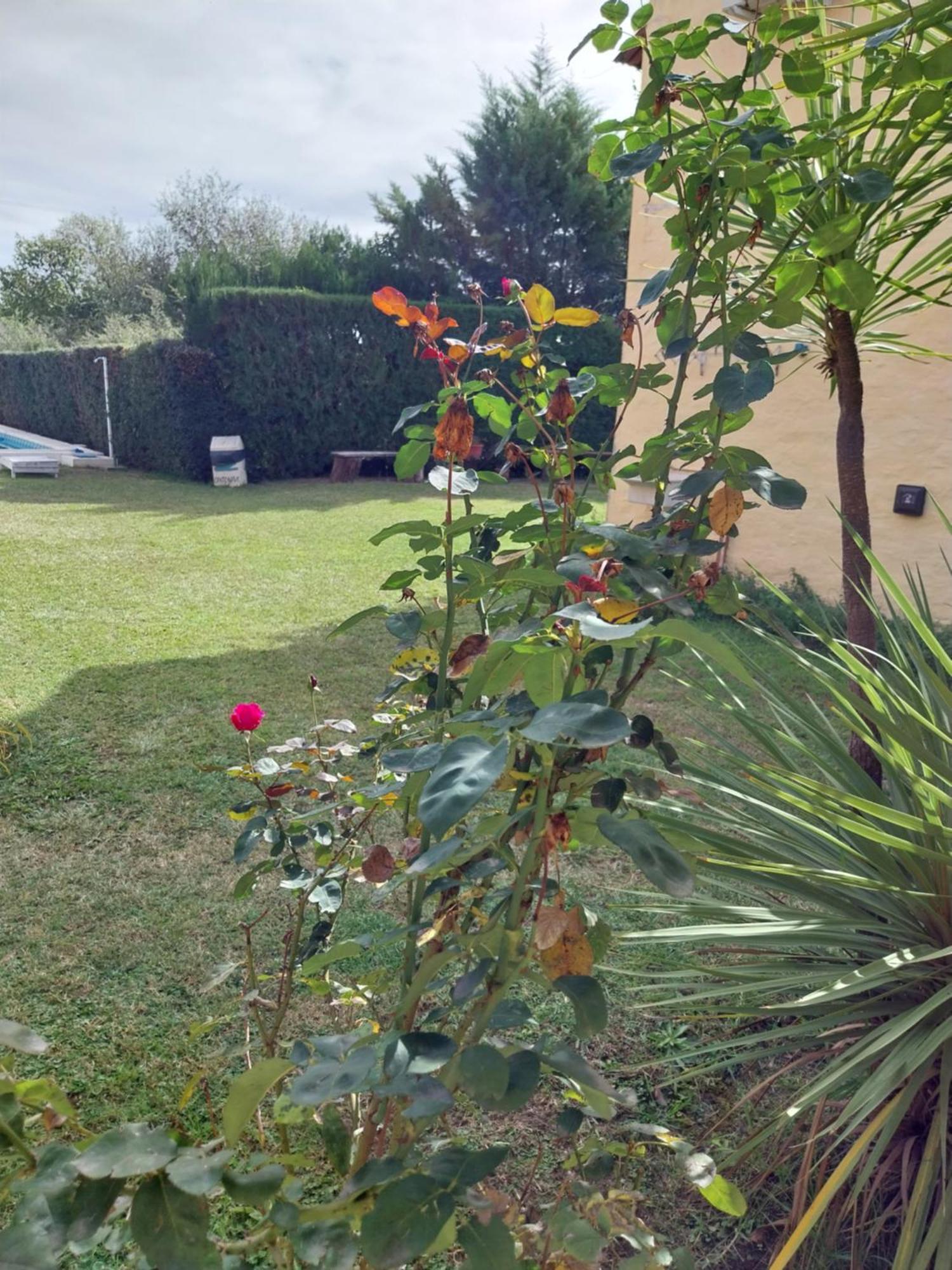 Complejo Cantonavi Nono Exterior foto